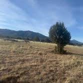 Review photo of Fillmore Wildlife Management Area by David W., May 21, 2026