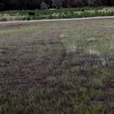 Review photo of Find Out Farms by Dajah B., June 23, 2026