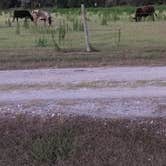 Review photo of Find Out Farms by Dajah B., June 23, 2026