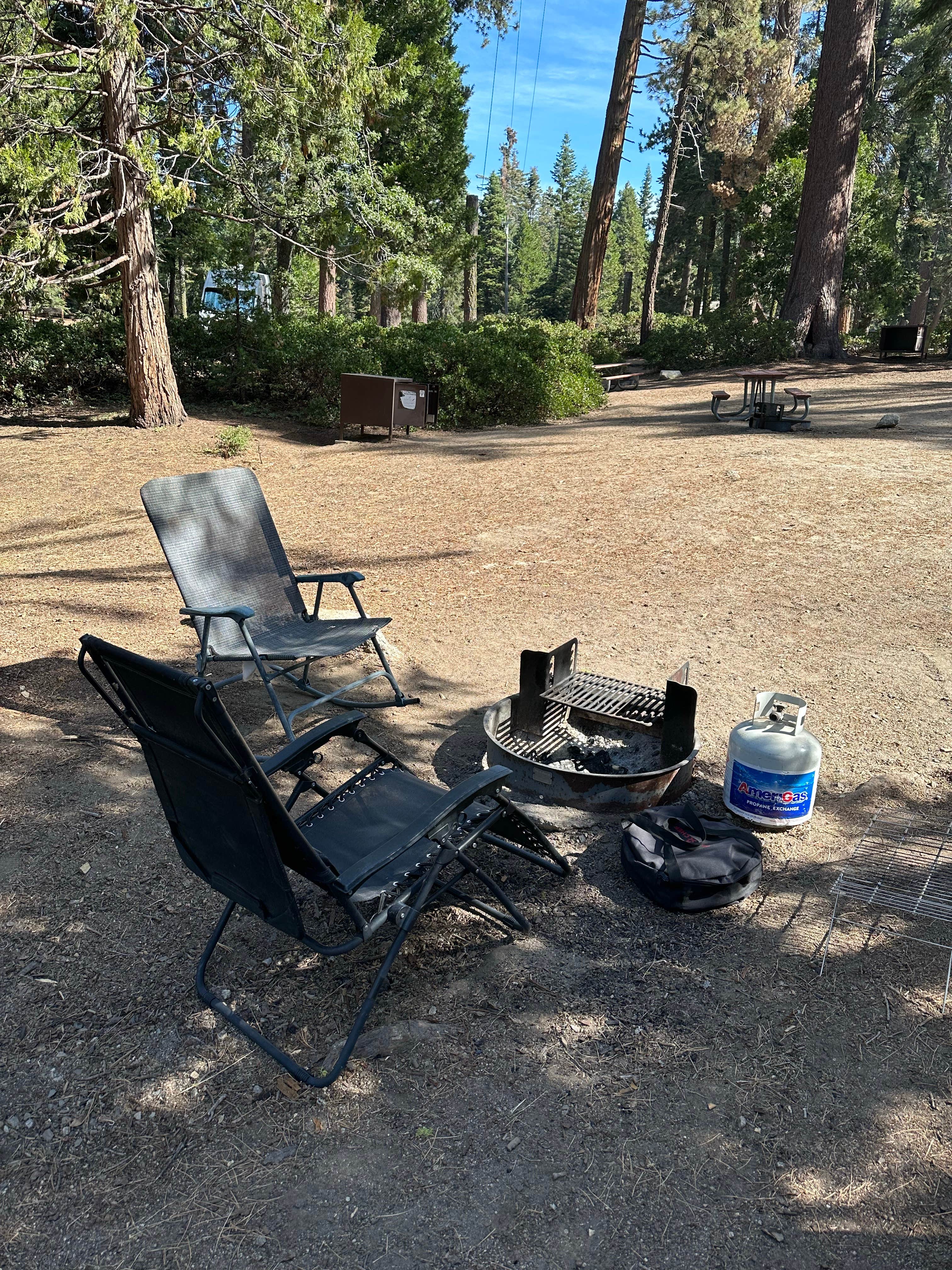 Camper submitted image from Fir Group Campground - 3