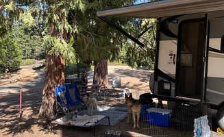 Mike M.'s photo at Fir Group Campground near Kaweah Lake