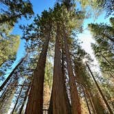 Review photo of Fir Group Campground by Mike M., April 23, 2025