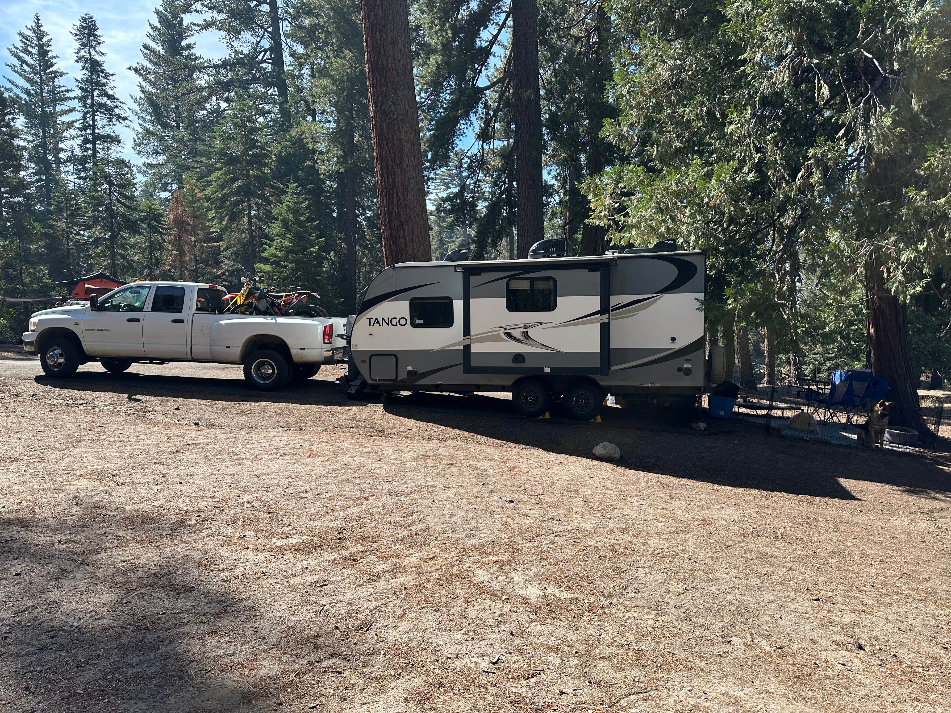 Camper submitted image from Fir Group Campground - 5