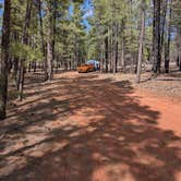 Review photo of Fire Rd 688 - Dispersed by Kayla D., May 12, 2026
