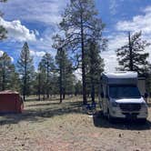 Review photo of Fire Rd 688 - Dispersed by Sue G., April 15, 2026