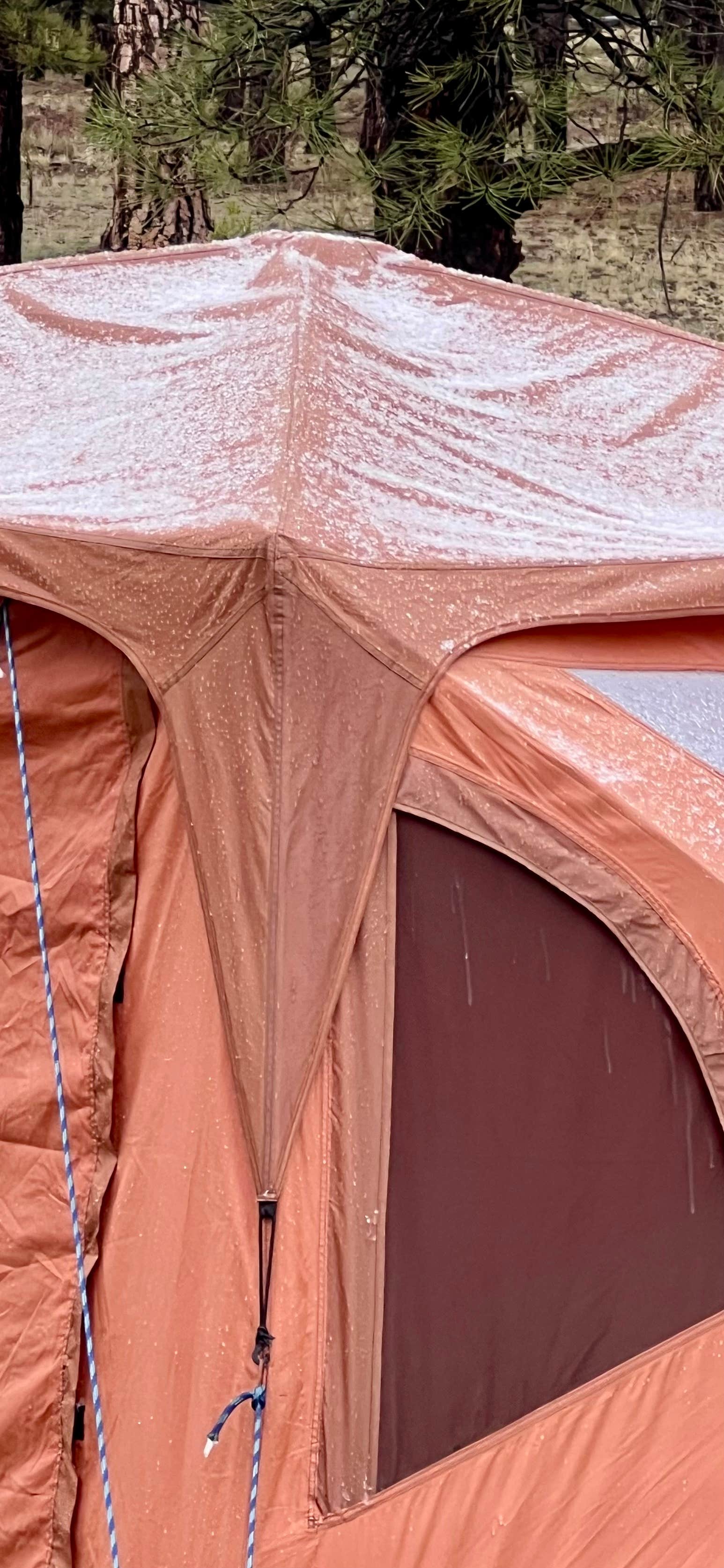 Camper-submitted photo at Fire Rd 688 - Dispersed near Grand Canyon, AZ