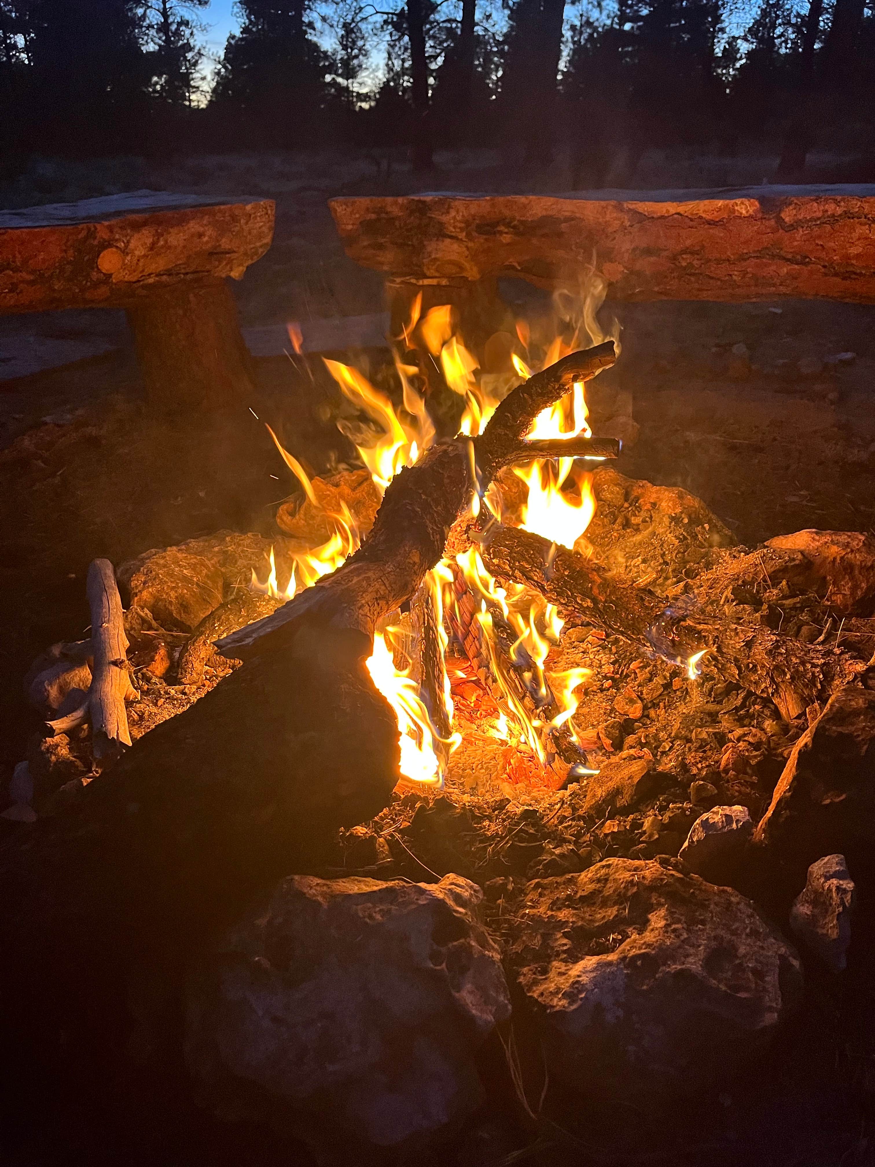 Fire Rd 688 - Dispersed