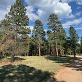 Review photo of Fire Road 310 Dispersed Camping by Tim M., July 8, 2025