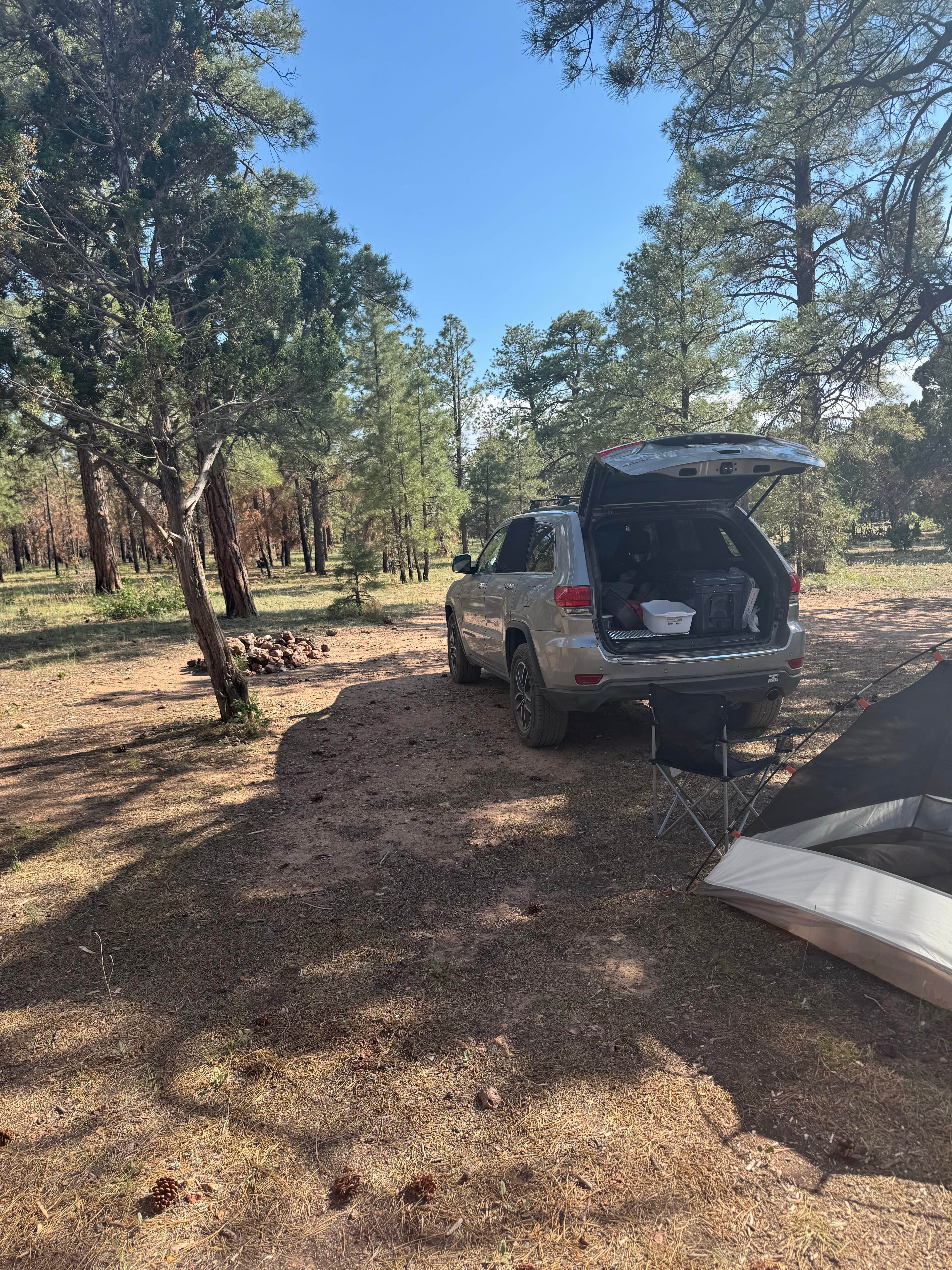 Camper submitted image from Fire Road 310 Dispersed Camping - 1