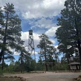 Review photo of Fire Road 310 Dispersed Camping by Tim M., July 8, 2025