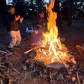 Review photo of Fire Road 310 Dispersed Camping by Stacia M., October 17, 2025