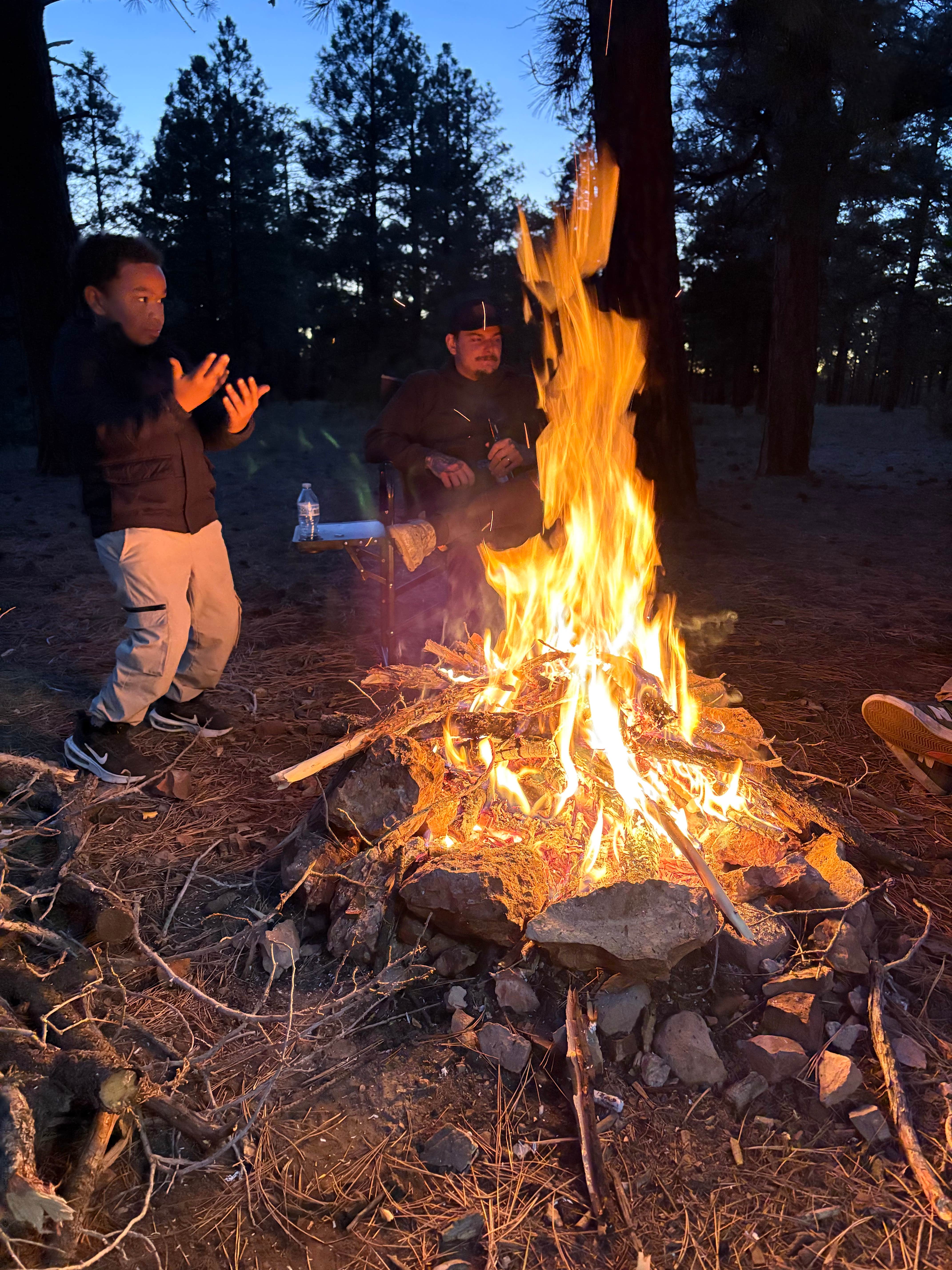 Camper submitted image from Fire Road 310 Dispersed Camping - 1