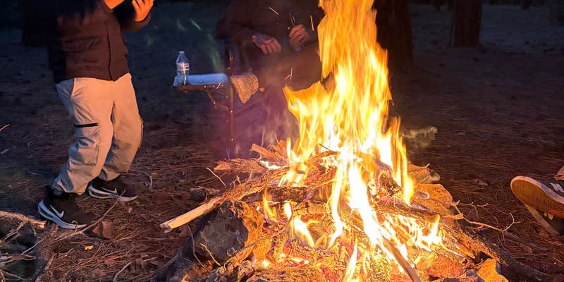 Camper submitted image from Fire Road 310 Dispersed Camping