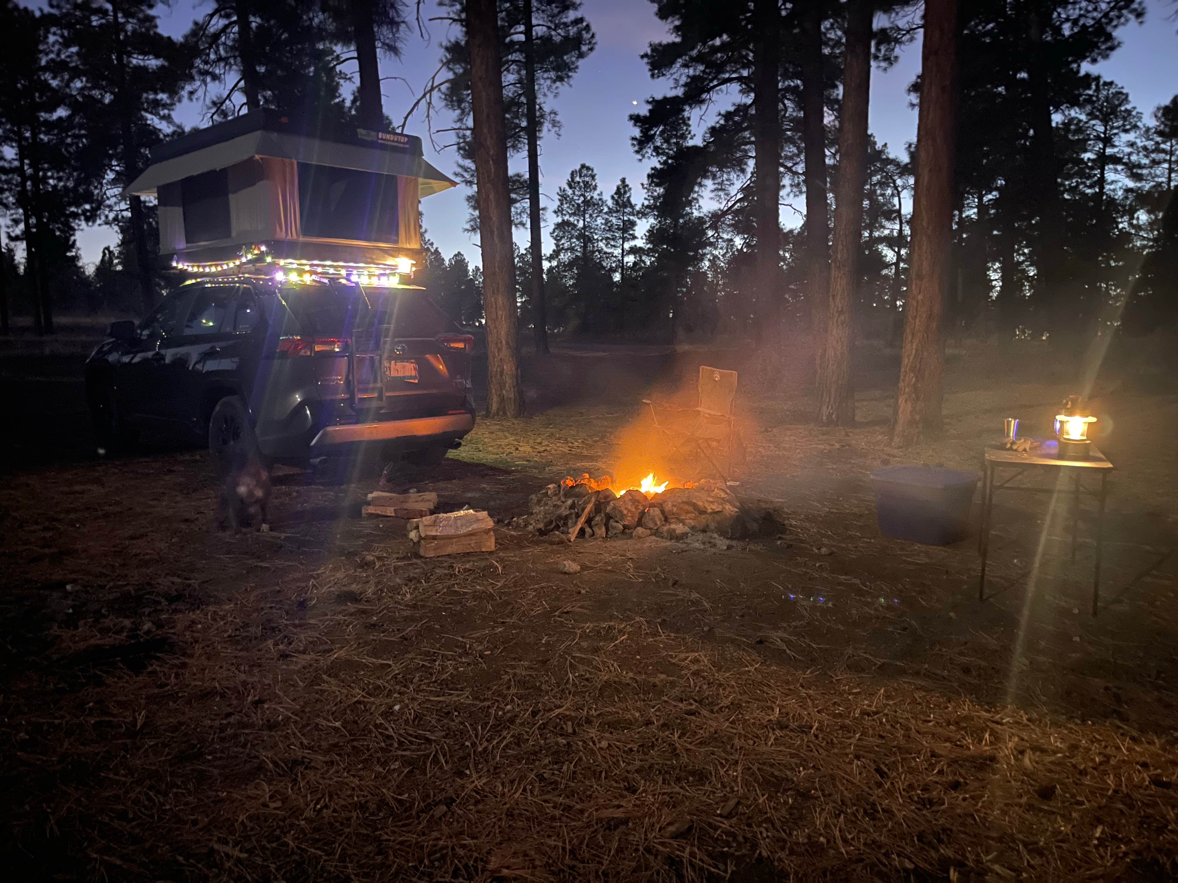 Camper submitted image from Coconino Rim Road, Fire Road 310 Kaibab Forest - 1