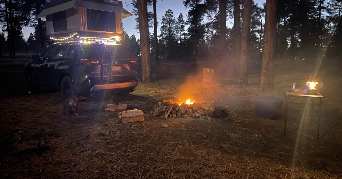 Coconino Rim Road, Fire Road 310 Kaibab Forest