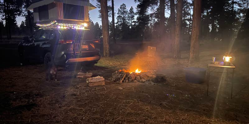 Camper submitted image from Coconino Rim Road, Fire Road 310 Kaibab Forest