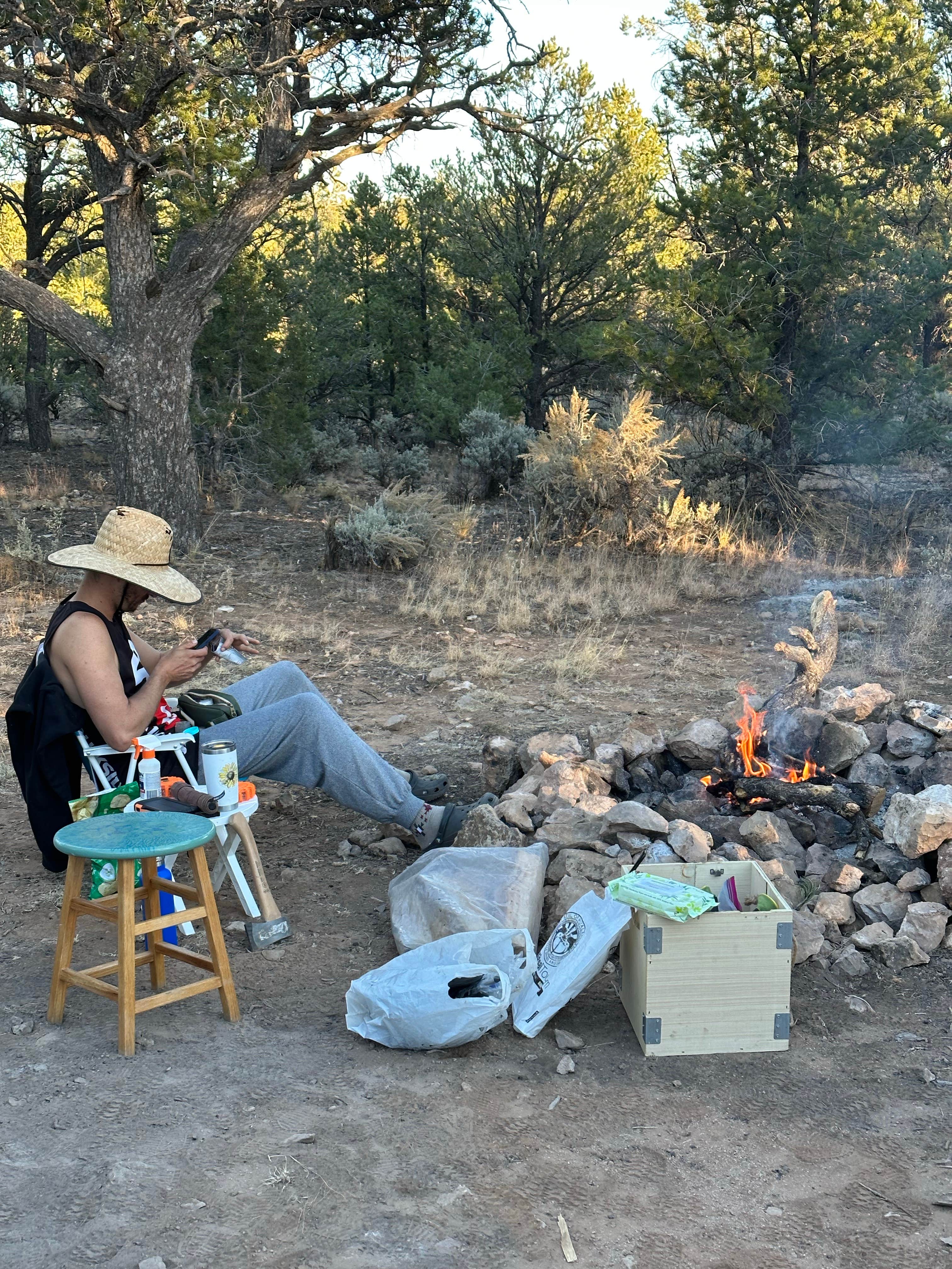 Camper-submitted photo at Coconino Rim Road, Fire Road 310 Kaibab Forest near Tuba City, AZ