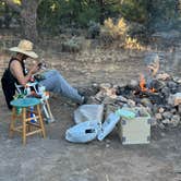 Review photo of Coconino Rim Road, Fire Road 310 Kaibab Forest by Renee A., November 6, 2023