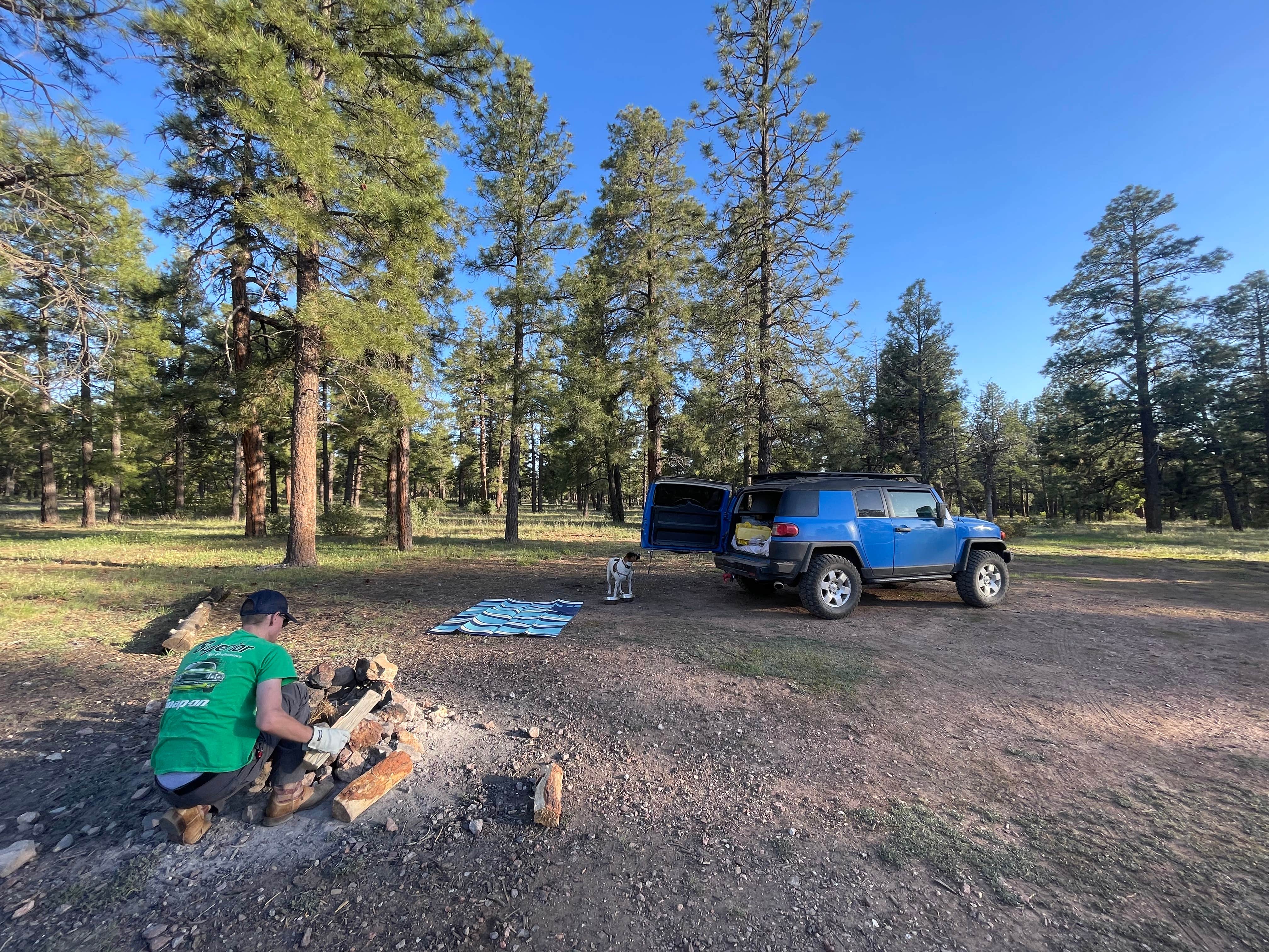 Makayla Z.'s photo of camping with pets at Coconino Rim Road, Fire Road 310 Kaibab Forest near Gray Mountain, AZ