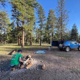 Review photo of Coconino Rim Road, Fire Road 310 Kaibab Forest by Makayla Z., June 20, 2024