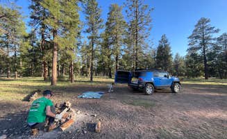 Makayla Z.'s photo of camping with pets at Coconino Rim Road, Fire Road 310 Kaibab Forest near Cameron, AZ