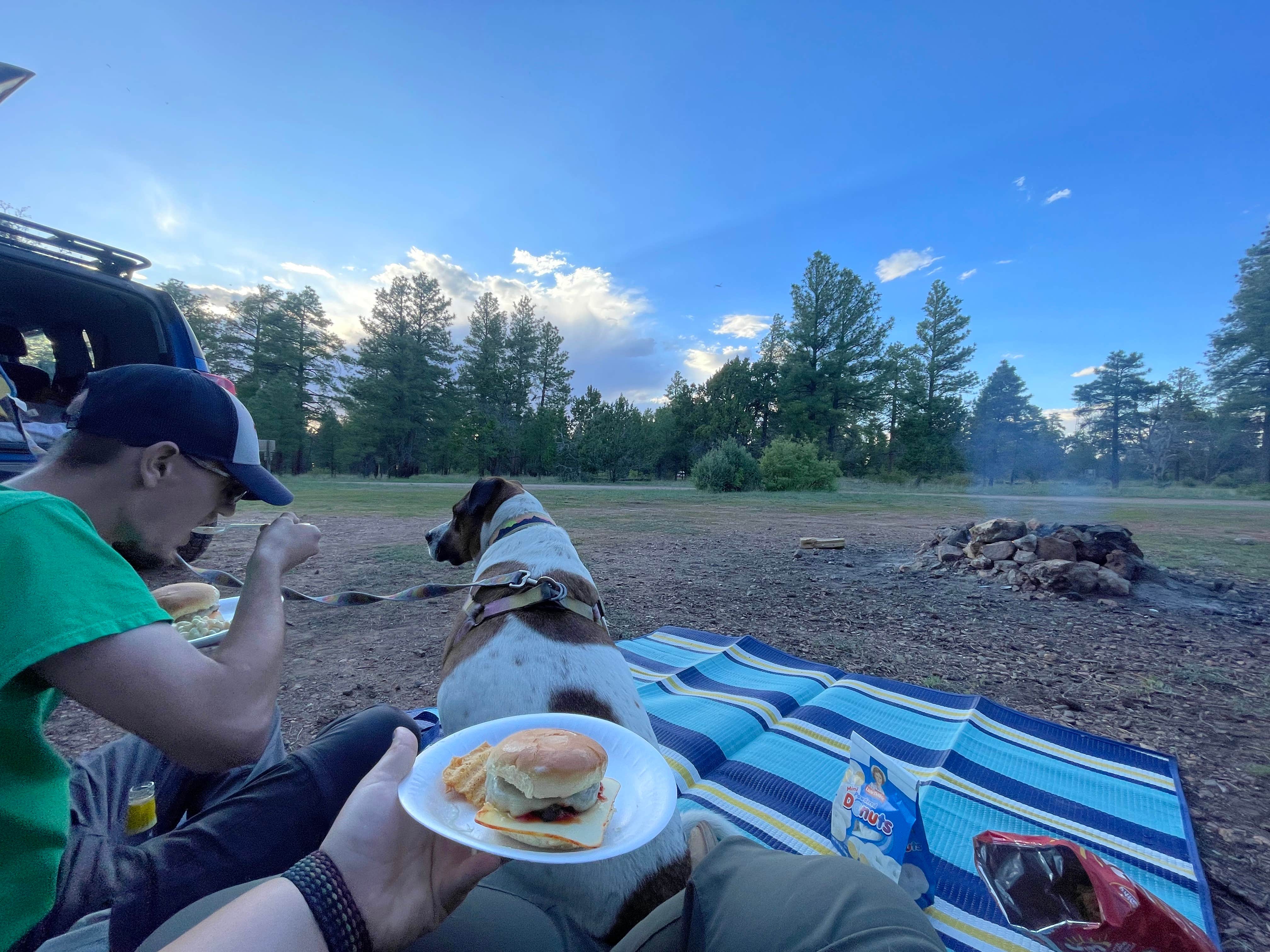 Makayla Z.'s photo of a dispersed camping area at Coconino Rim Road, Fire Road 310 Kaibab Forest near Tuba City, AZ