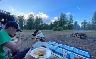 Makayla Z.'s photo of camping with pets at Coconino Rim Road, Fire Road 310 Kaibab Forest near Grand Canyon, AZ