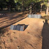 Review photo of Coconino Rim Road, Fire Road 310 Kaibab Forest by Tiffany S., August 5, 2025