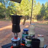 Review photo of Coconino Rim Road, Fire Road 310 Kaibab Forest by Tiffany S., August 5, 2025