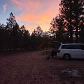 Review photo of Coconino Rim Road, Fire Road 310 Kaibab Forest by Tiffany S., August 5, 2025