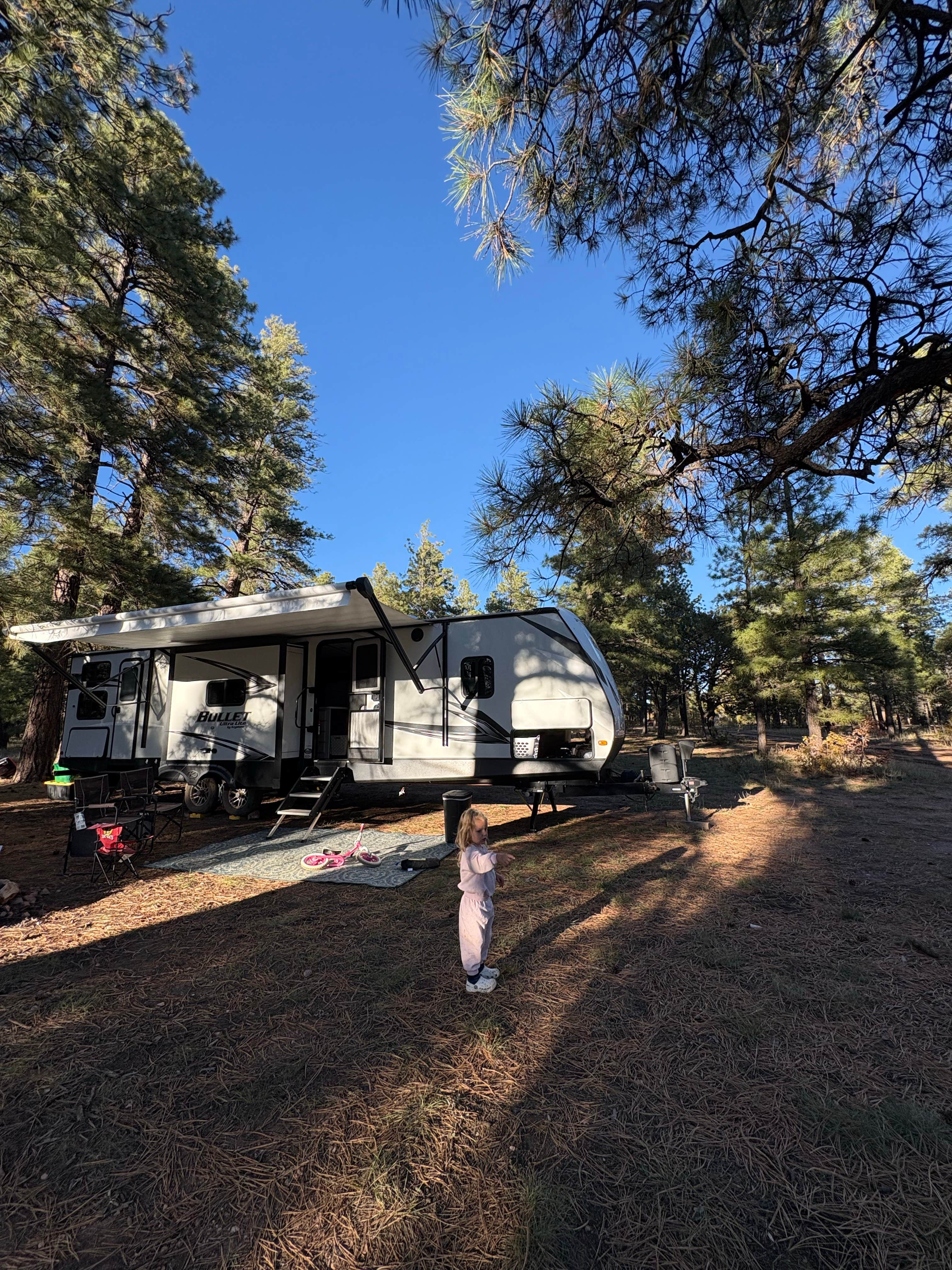 Stacia M.'s photo of rv camping at Coconino Rim Road, Fire Road 310 Kaibab Forest near Tuba City, AZ