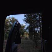 Review photo of Coconino Rim Road, Fire Road 310 Kaibab Forest by Annisa A., September 16, 2024