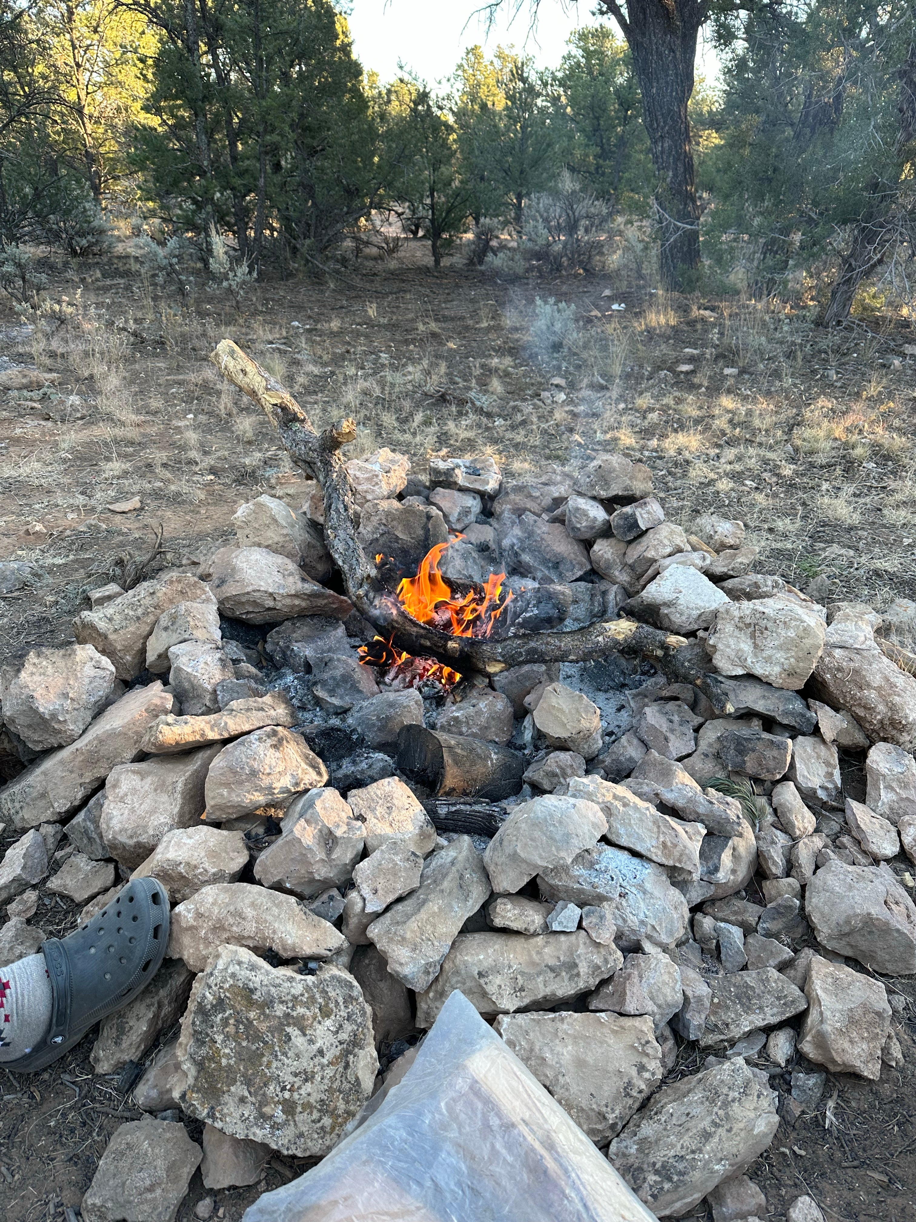 Camper submitted image from Coconino Rim Road, Fire Road 310 Kaibab Forest - 1