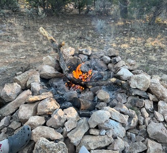 Camper-submitted photo from Coconino Rim Road, Fire Road 310 Kaibab Forest