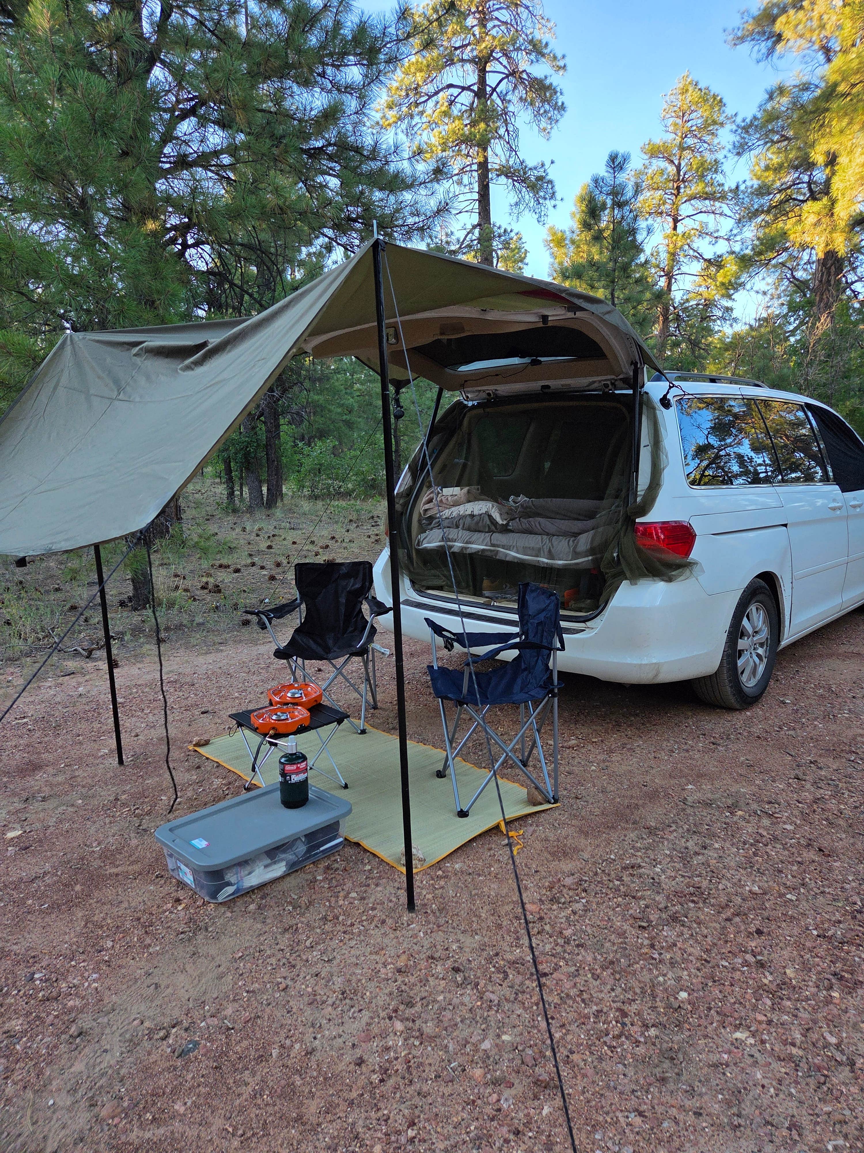 Camper-submitted photo at Coconino Rim Road, Fire Road 310 Kaibab Forest near Tuba City, AZ
