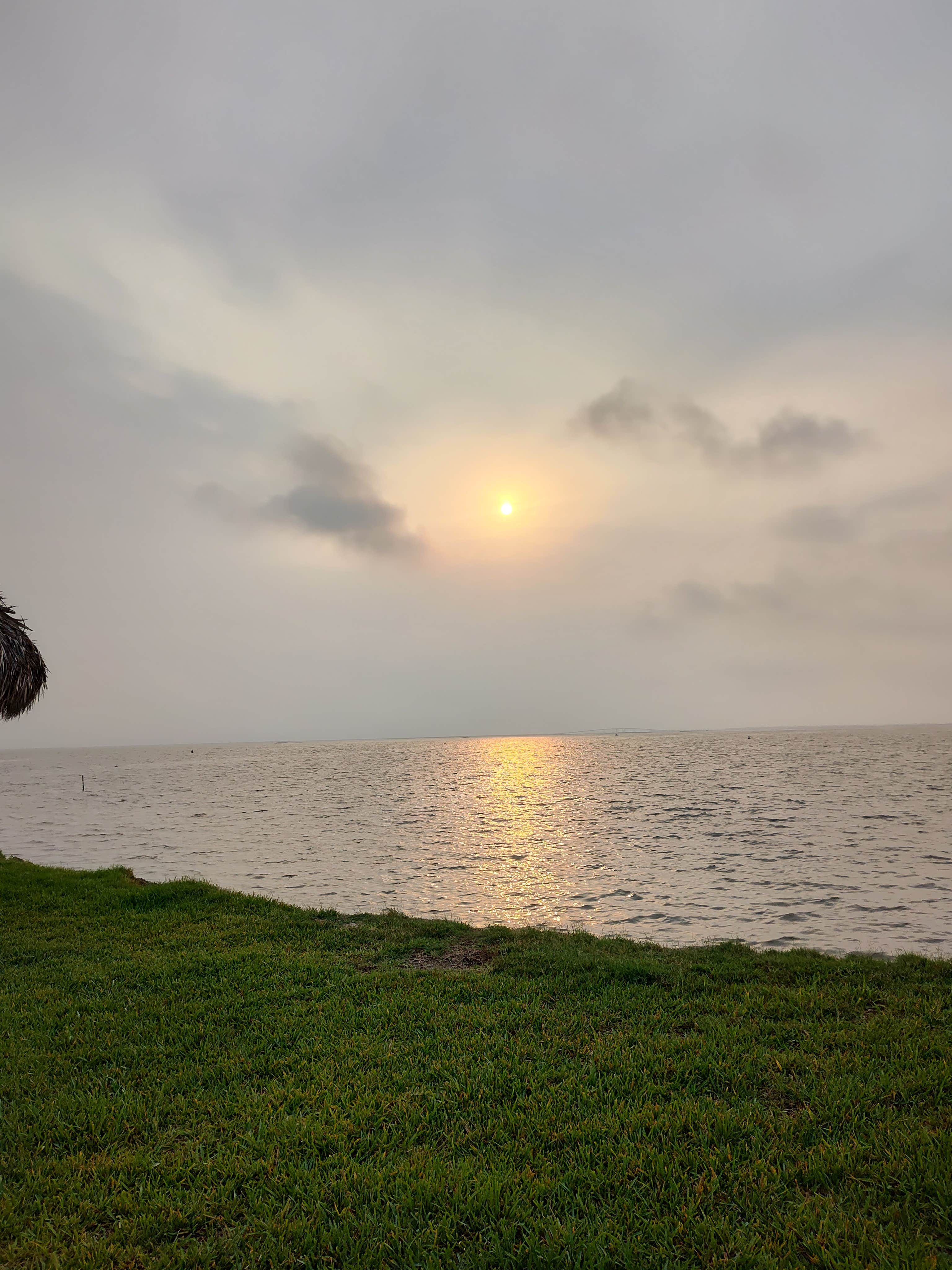 Camper submitted image from Firefly Coastal Bend- Corpus Christi - 1