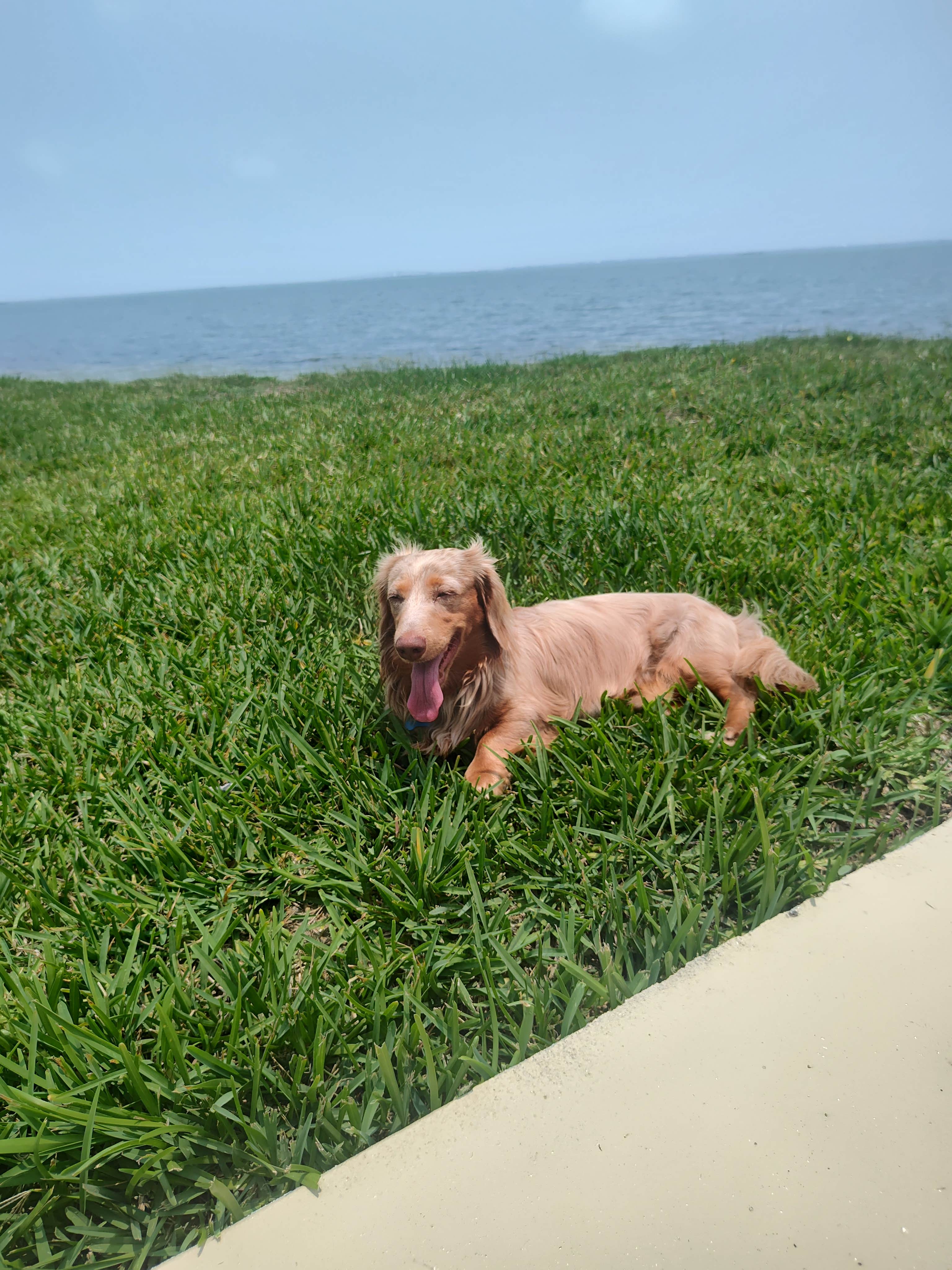 Camper-submitted photo at Firefly Coastal Bend- Corpus Christi near Corpus Christi, TX