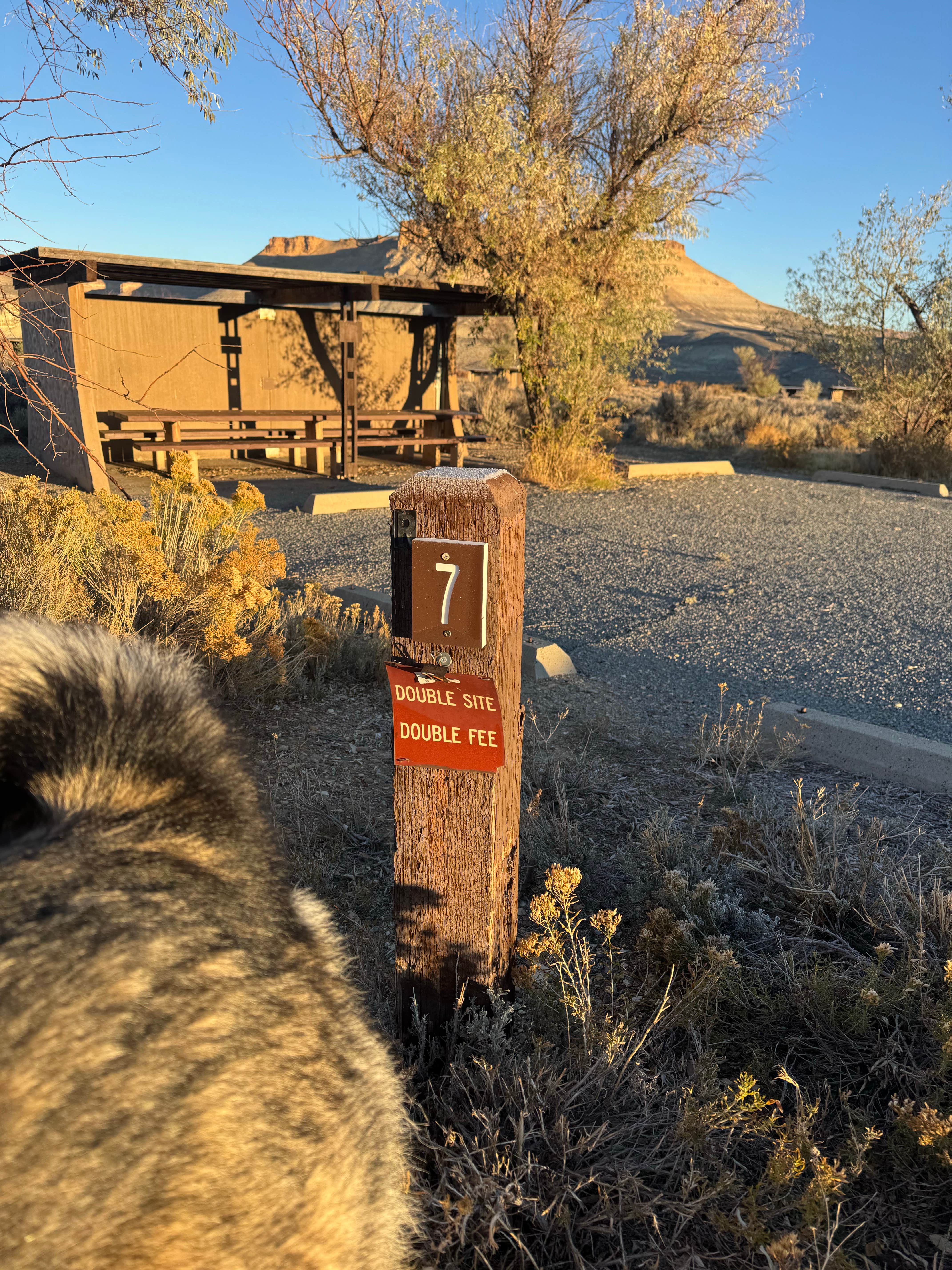 Cable A.'s photo of camping with pets at Firehole Canyon Campground near Rock Springs, WY