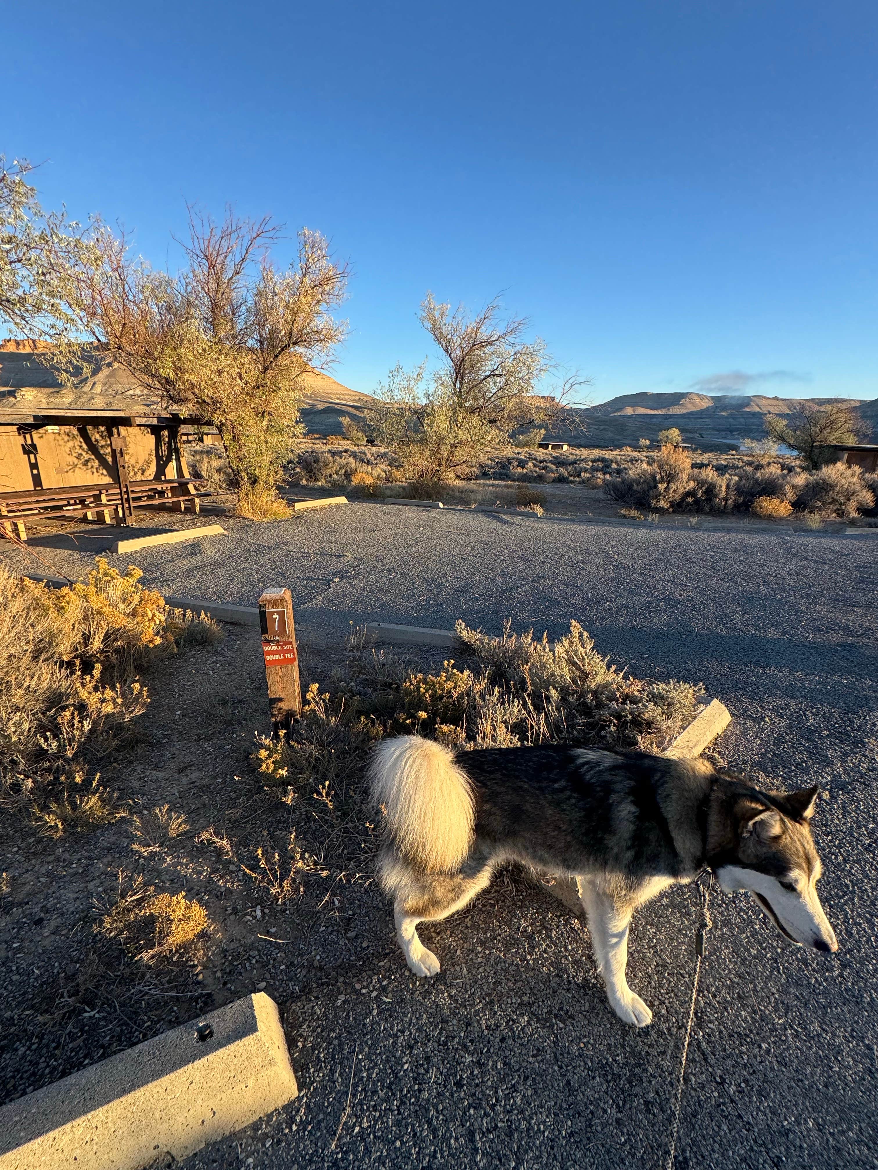 Cable A.'s photo of camping with pets at Firehole Canyon Campground near Fort Bridger, WY