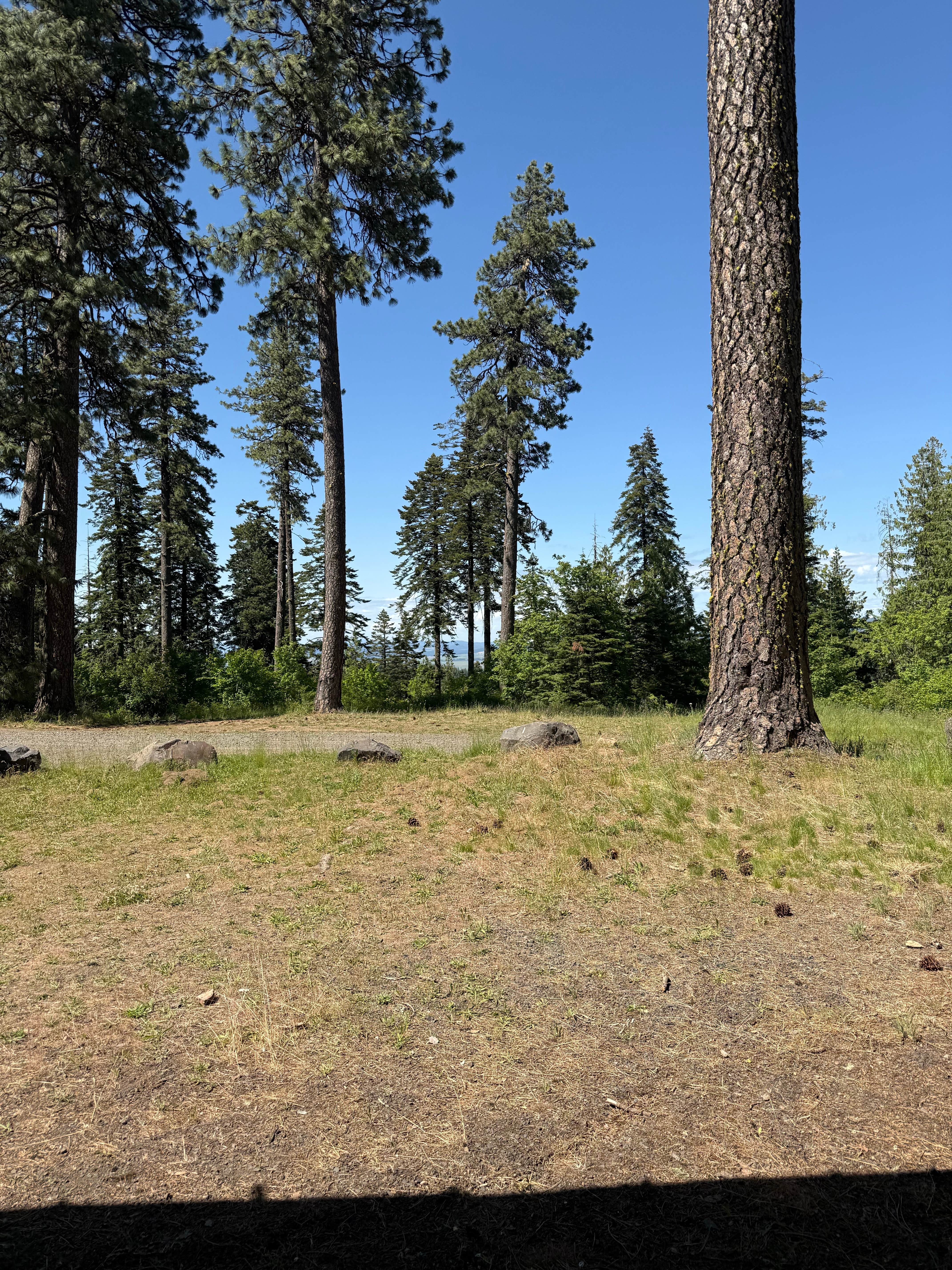 Camping near Palouse RV Park: Fireplace Campground — Mary Minerva McCroskey State Park, Potlatch, Idaho