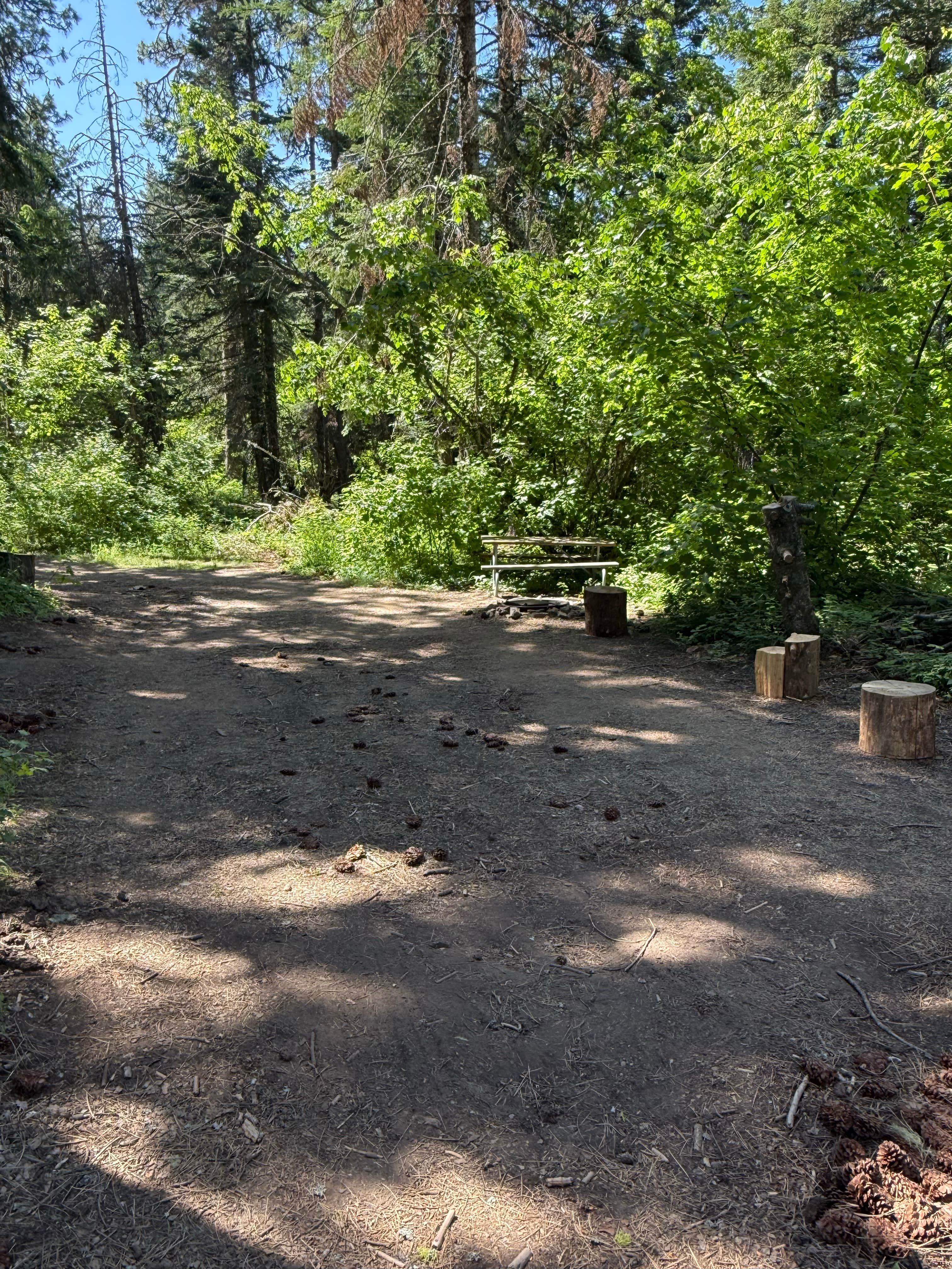 Camper submitted image from Fireplace Campground — Mary Minerva McCroskey State Park - 3
