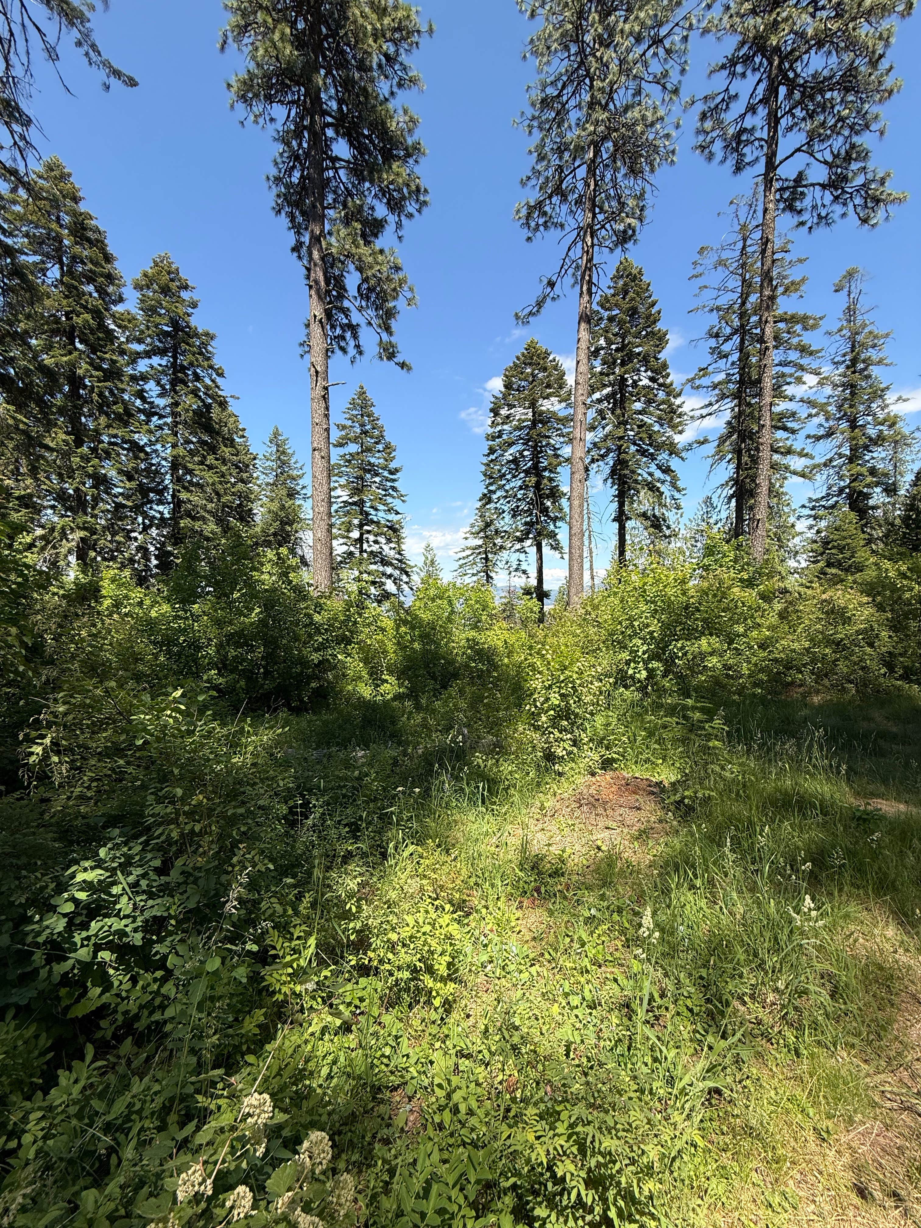 Camper submitted image from Fireplace Campground — Mary Minerva McCroskey State Park - 2