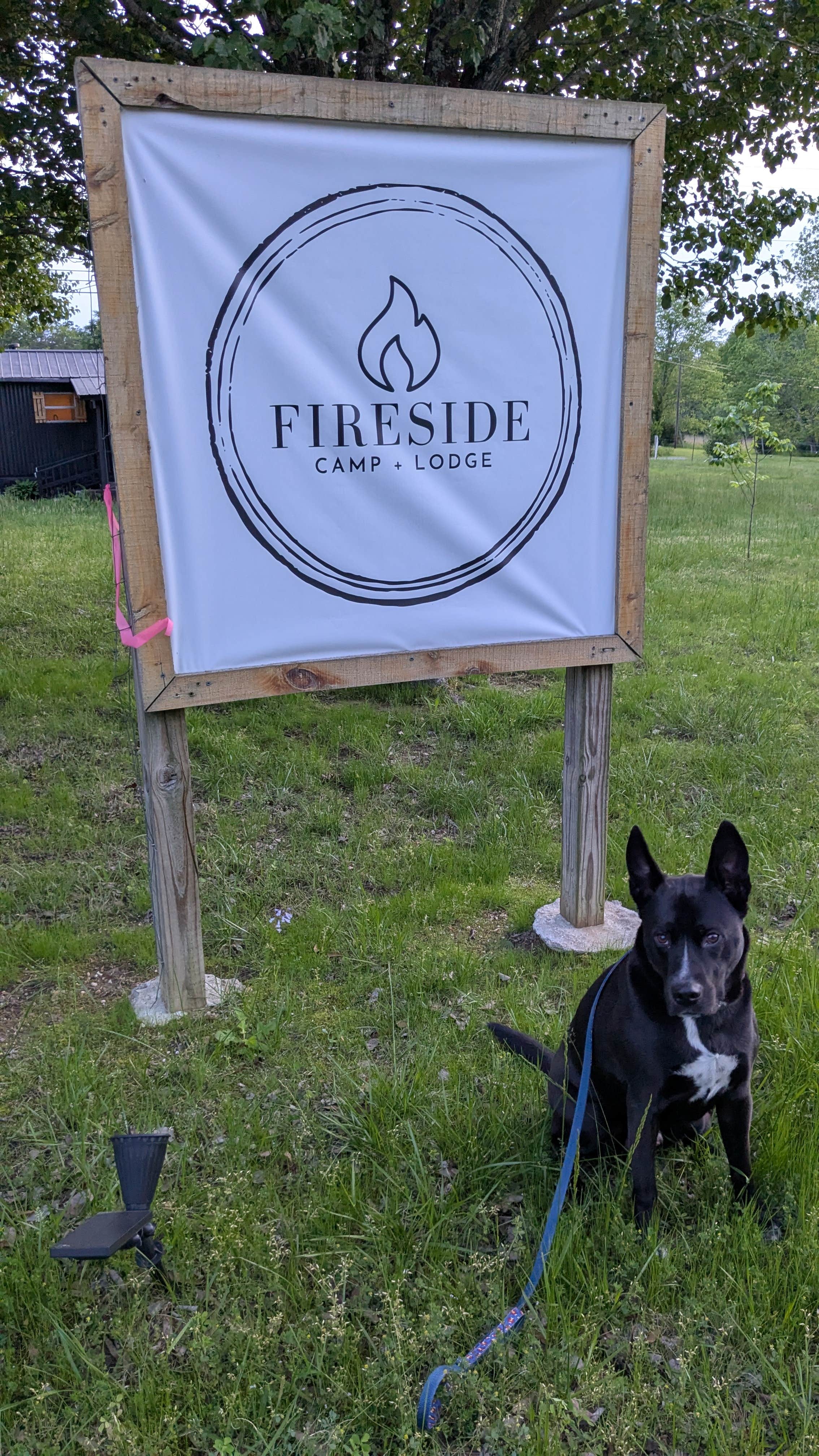 Leo S.'s photo of camping with pets at Fireside Camp + Lodge near Whiteside, TN