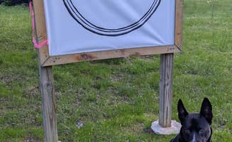 Leo S.'s photo of camping with pets at Fireside Camp + Lodge near Whiteside, TN