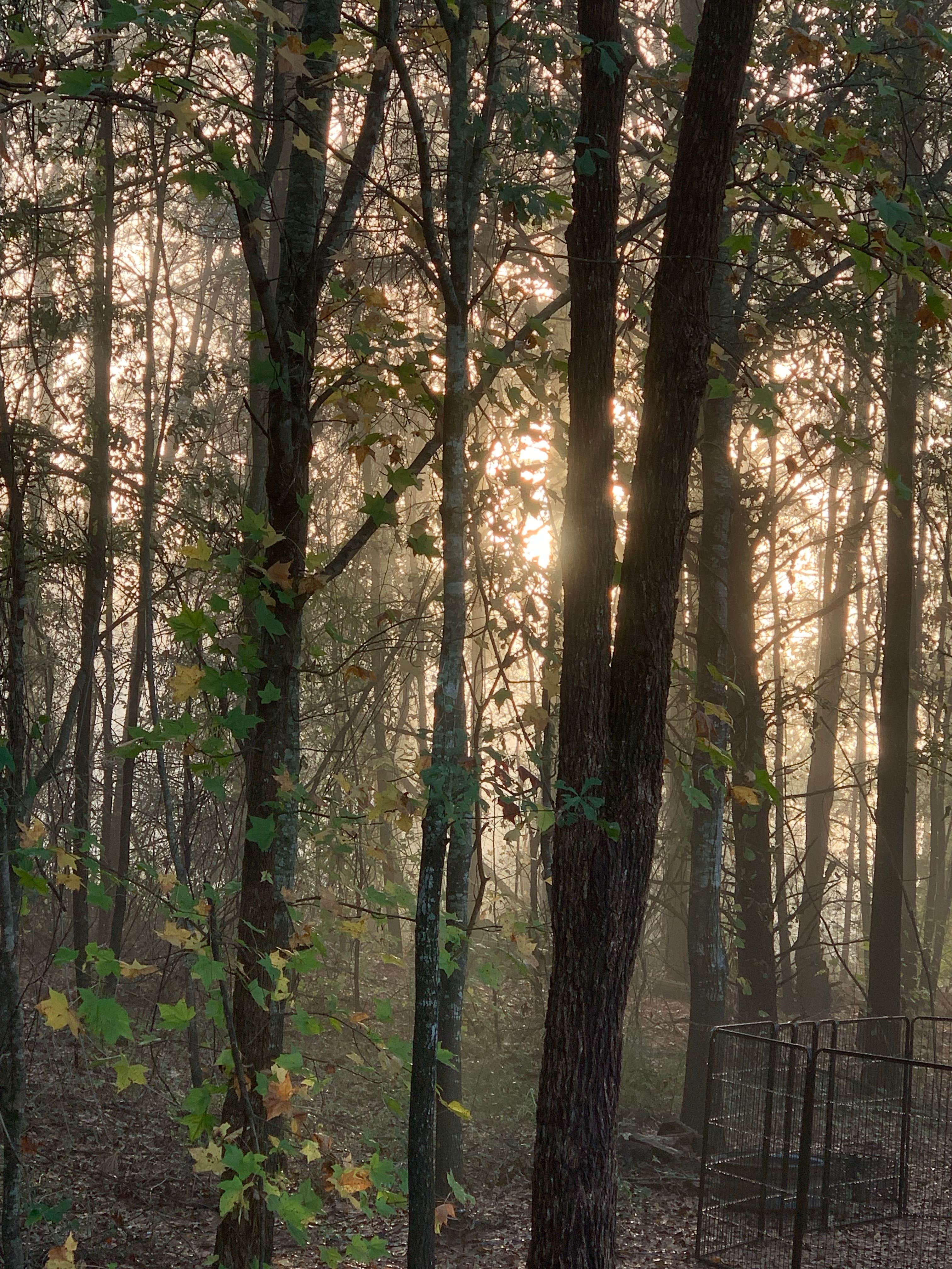 Camper-submitted photo at Fireside RV Park near Simpsonville, SC