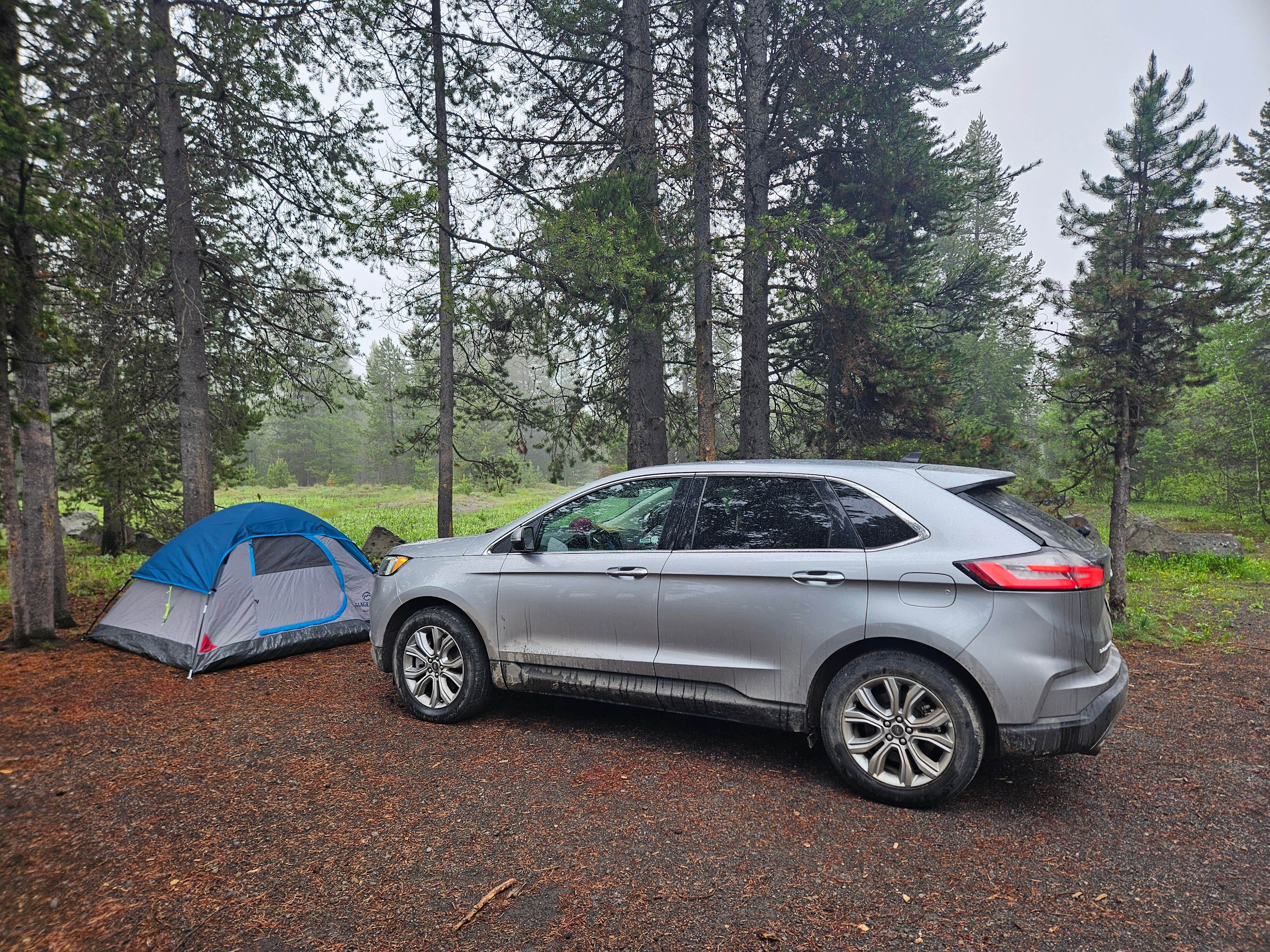 Camping near Forest Road 553: Fish Creek Dispersed Camp, Macks Inn, Idaho