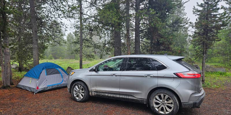 Camper submitted image from Fish Creek Dispersed Camp