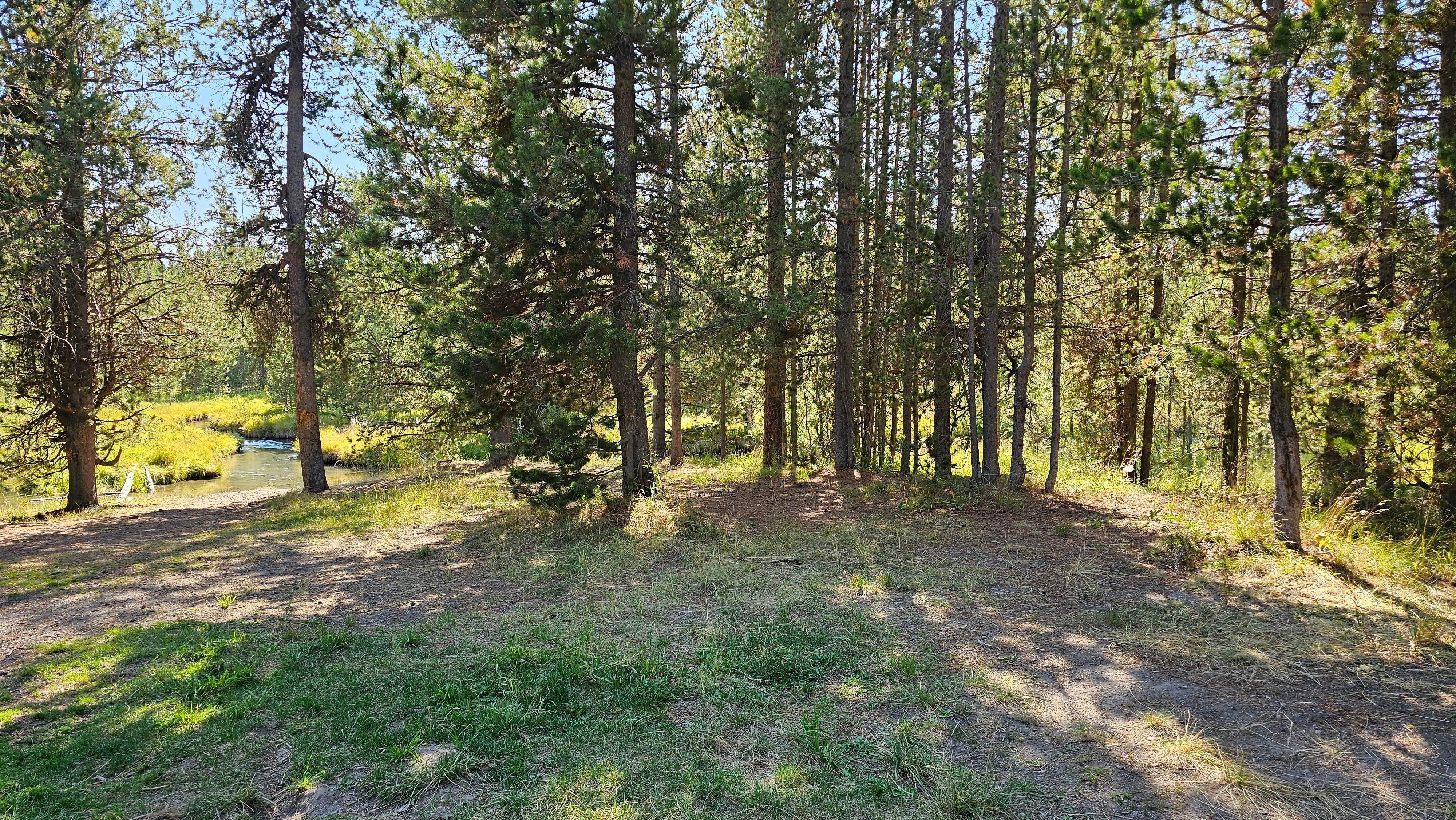 Camper-submitted photo at Fish Creek Dispersed Camp near Island Park, ID