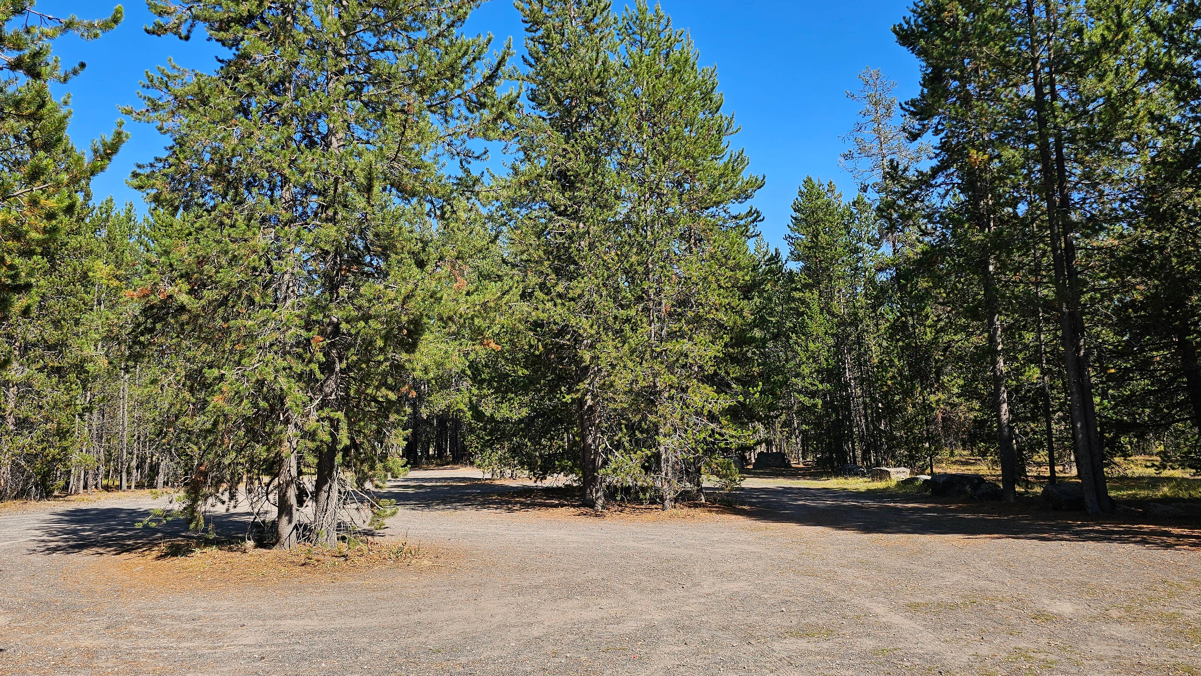 Camper-submitted photo at Fish Creek Dispersed Camp near Island Park, ID