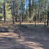 Review photo of Fish Creek Camp by Mike W., March 26, 2026